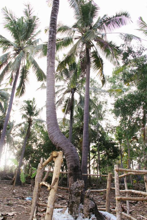 Nyuh Bengkok Tree House Hotel Batununggul Buitenkant foto