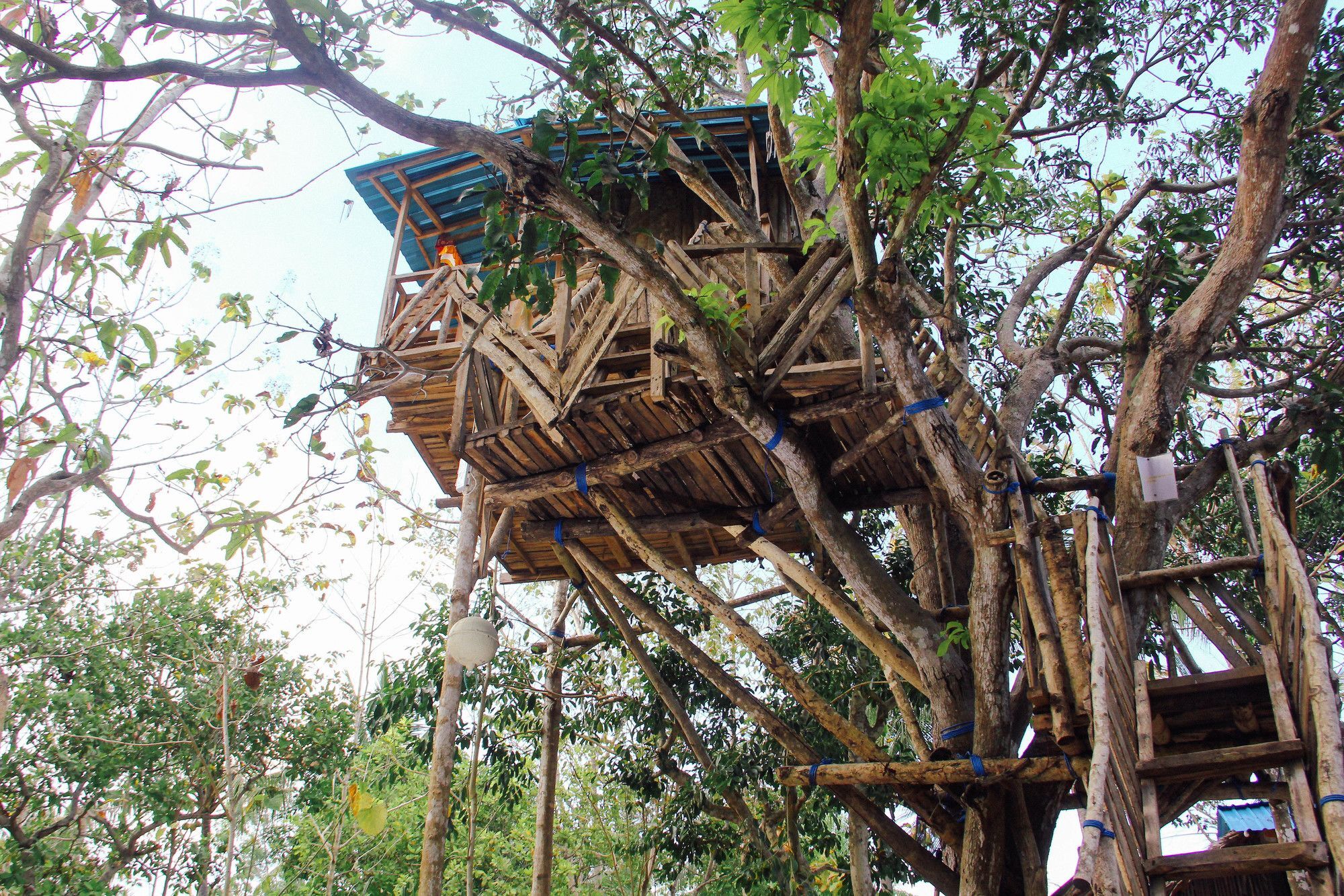 Nyuh Bengkok Tree House Hotel Batununggul Buitenkant foto
